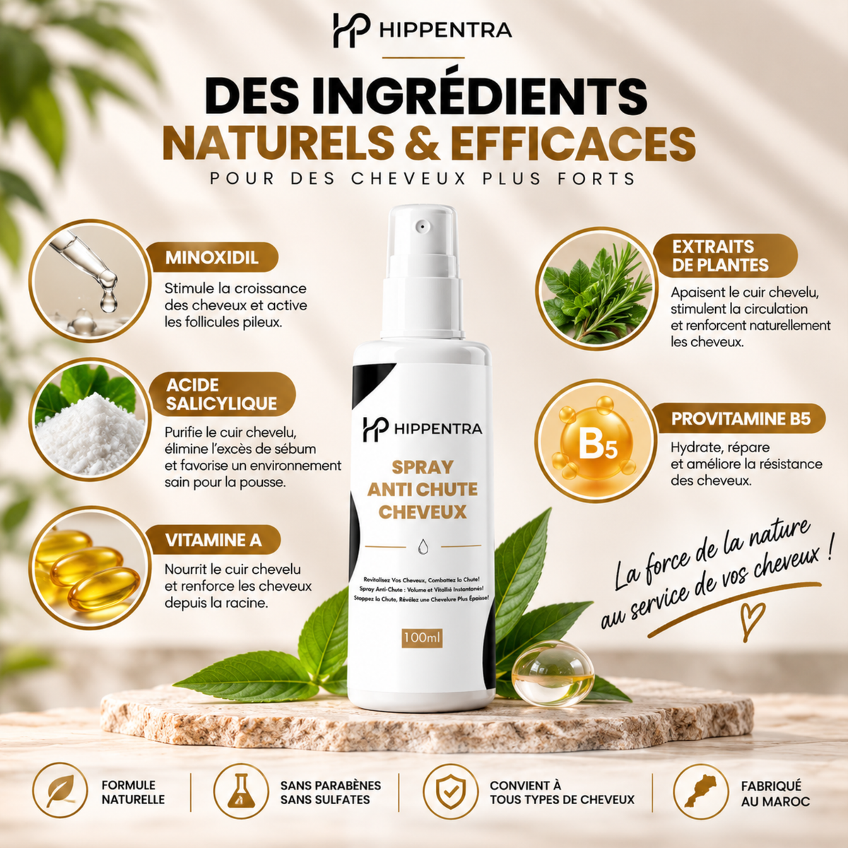 HIPPENTRA® Spray Capillaire Anti-Chute & Fortifiant – 100 ml
