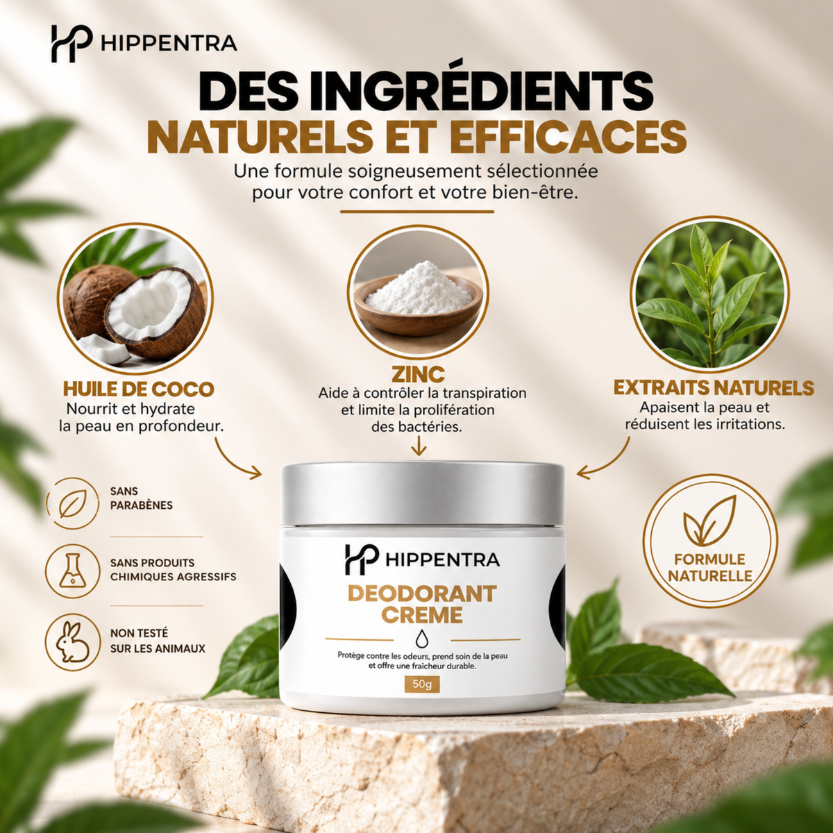 HIPPENTRA® Déodorant Crème – Protection & Fraîcheur Longue Durée – 50 g
